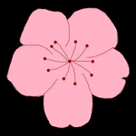 WWW,se647·COM网站APPAPP应用